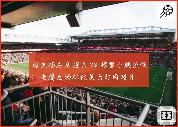 特里杨右肩撞击 vs 穆雷小腿挫伤：老鹰后场双枪复出时间错开